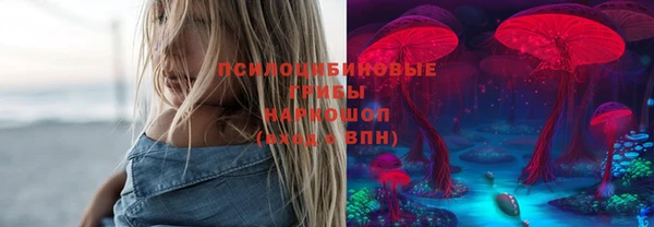 стафф Волосово